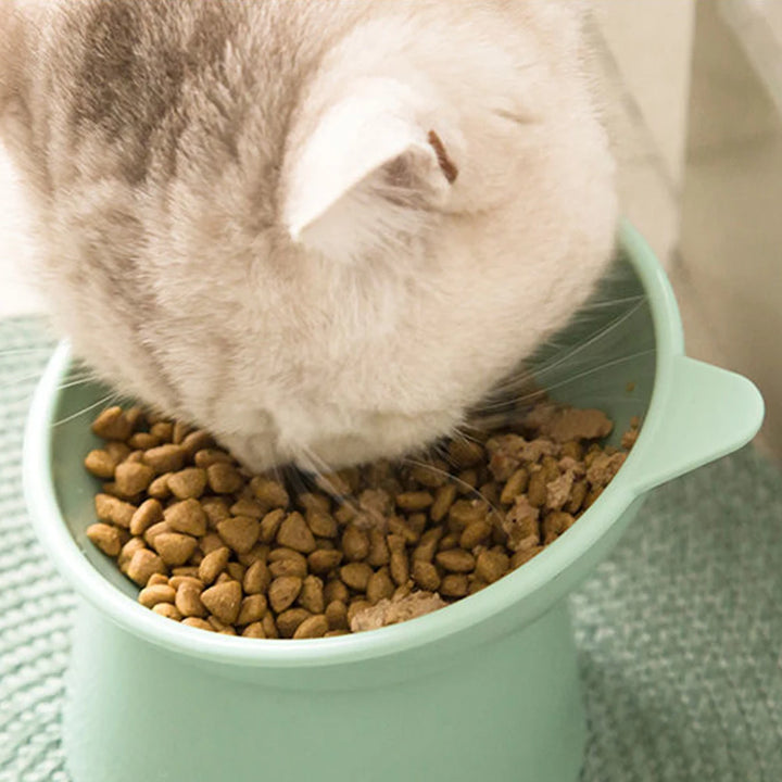 Bowl Ergonómico para Gato Antivómito