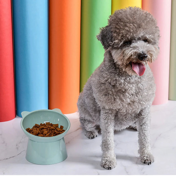 Bowl Ergonómico para Gato Antivómito