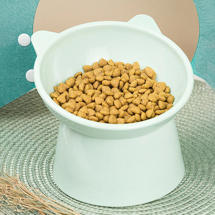 Bowl Ergonómico para Gato Antivómito